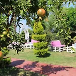 Aloria Garden