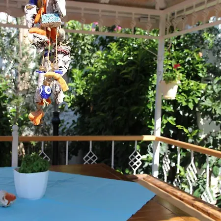 Отель Aloria Garden