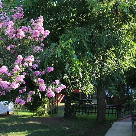 Отель Aloria Garden