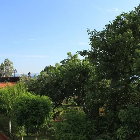 Aloria Garden