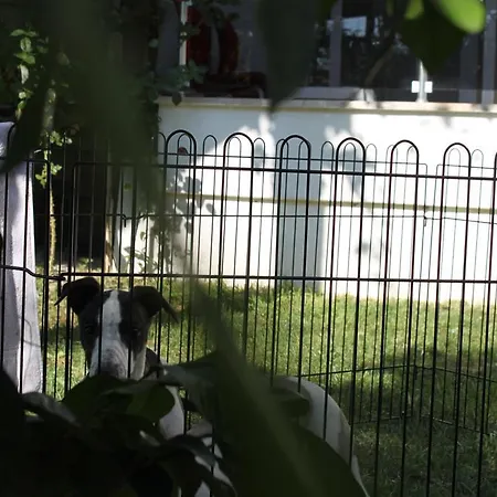 Hotel Aloria Garden Erdek