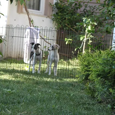 Отель Aloria Garden Эрдек