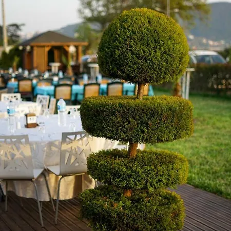 Aloria Garden