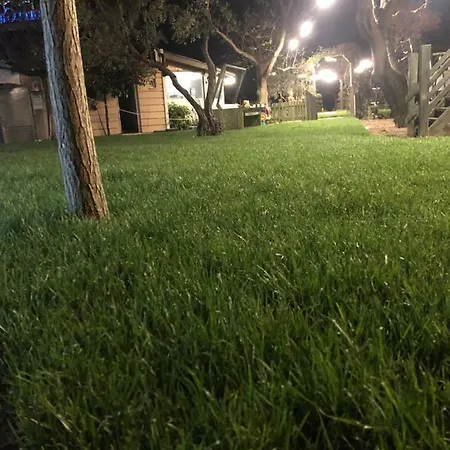 Отель Aloria Garden