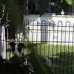 Hotel Aloria Garden Erdek