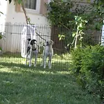 Hotel Aloria Garden Erdek