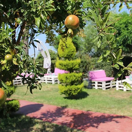 Aloria Garden